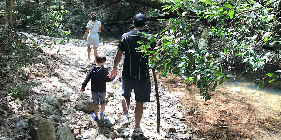 Posture and Mobility