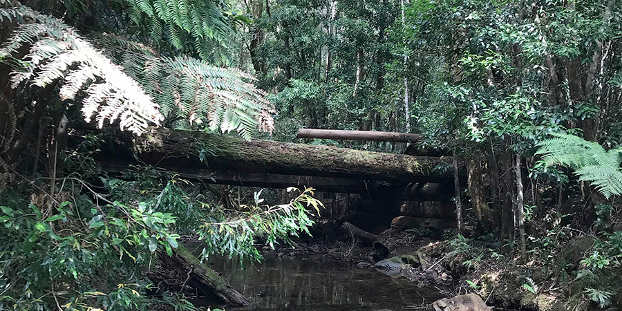 Stress and its impact on the physical body